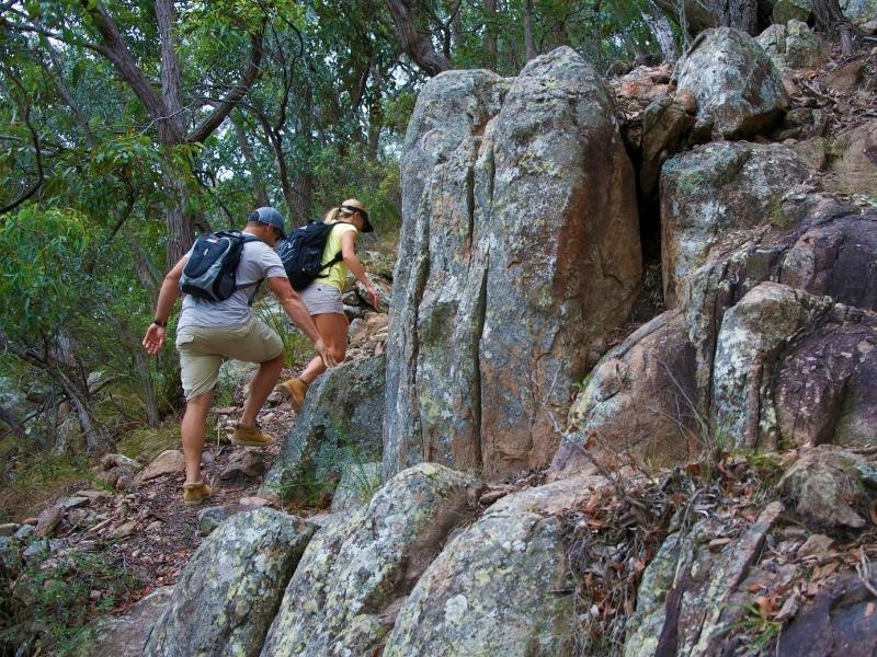 Bushwalking, Tomaree National Park - Destination Port Stephens